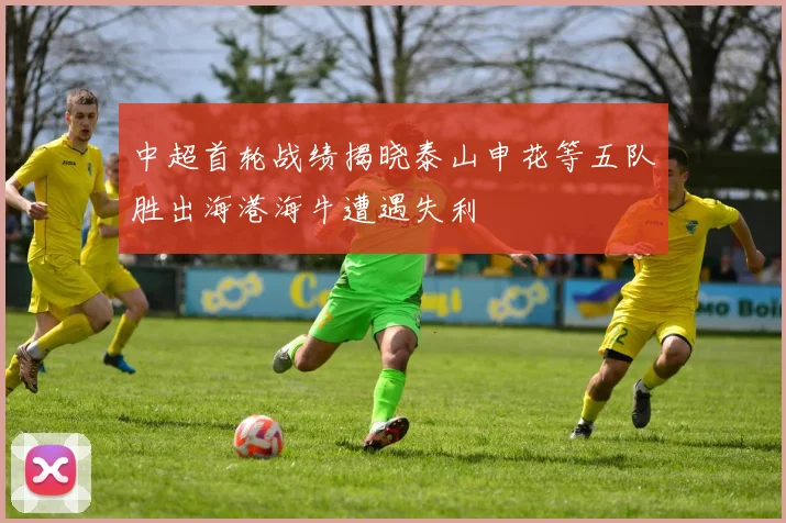 中超首轮战绩揭晓泰山申花等五队胜出海港海牛遭遇失利