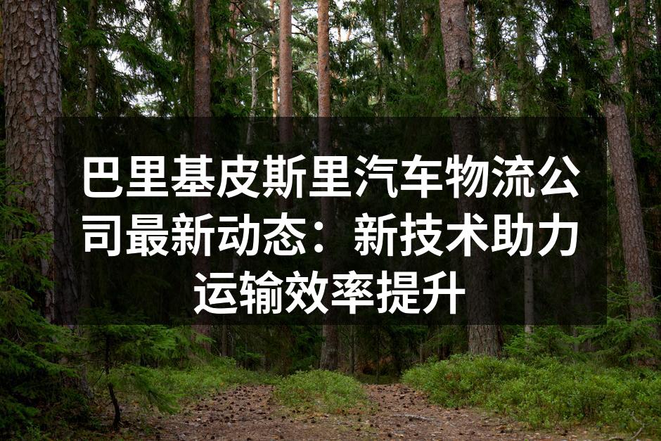 巴里基皮斯里公司智能运输系统示意图