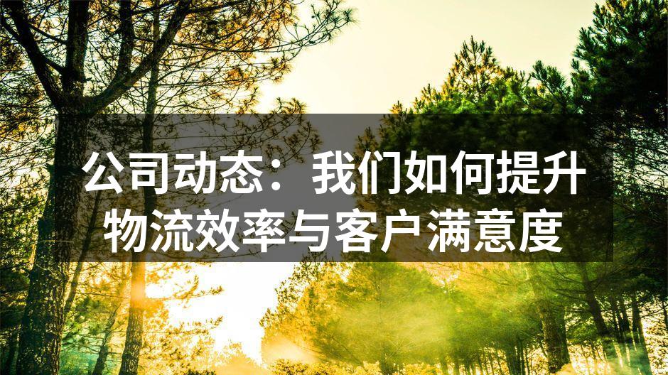 优化运输流程的技术创新