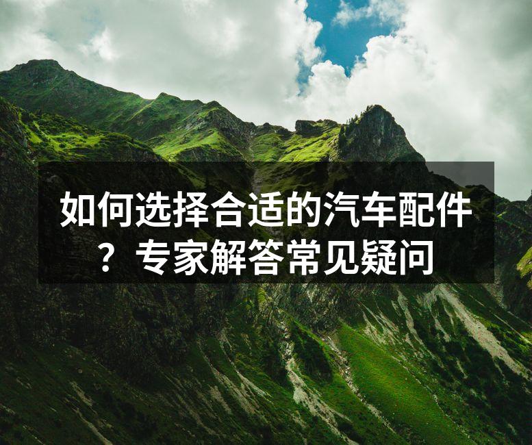专业技术人员正在检查汽车配件